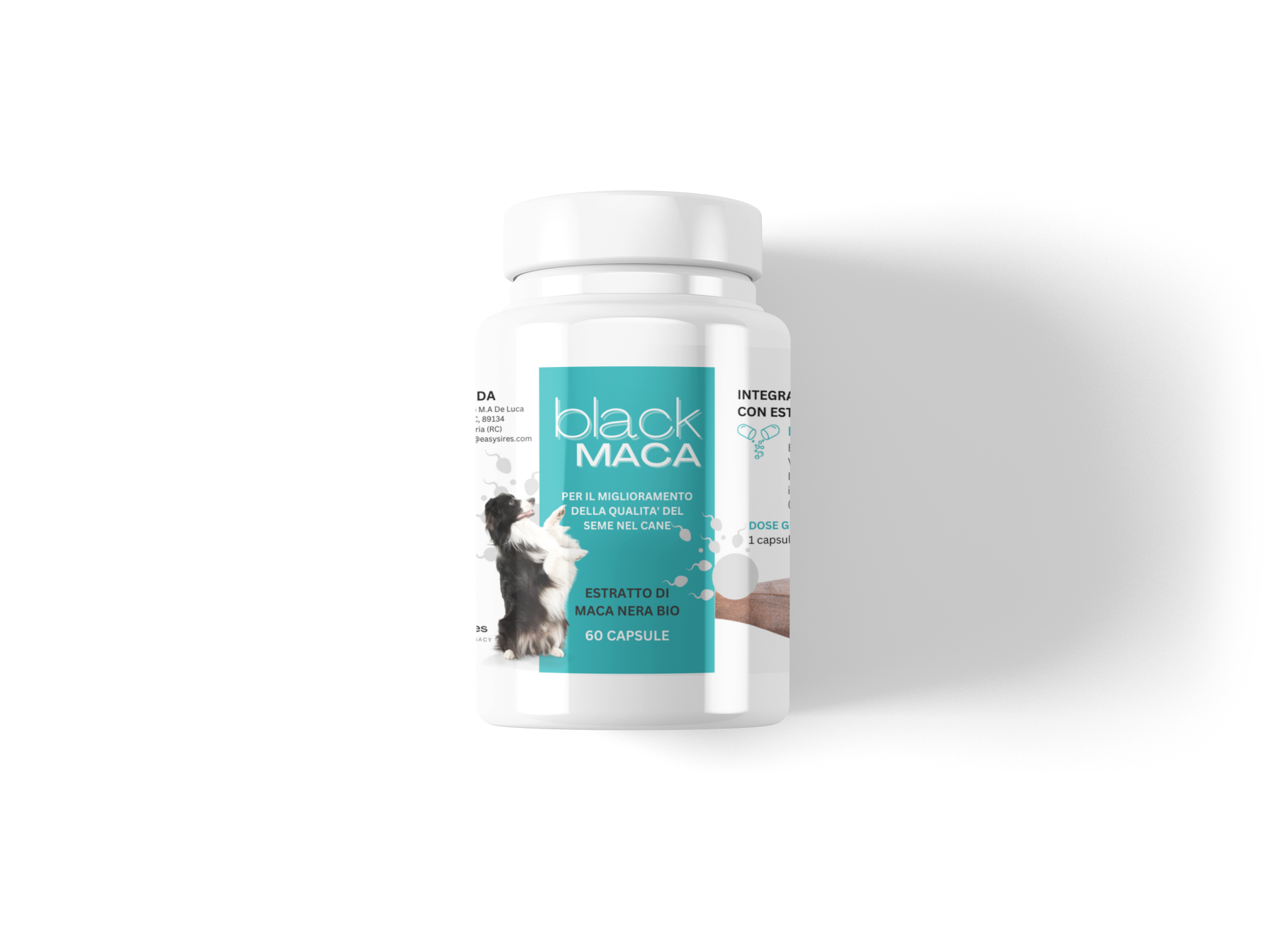 Improve Your Male Dog's Fertility Naturally with Black Maca